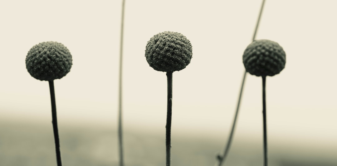 Zo bepaal je de juiste tone of voice in AI-blogs